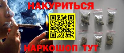 прущие грибы Будённовск