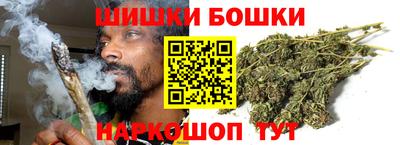 прущие грибы Будённовск