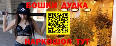 прущие грибы Будённовск