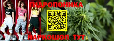 прущие грибы Будённовск