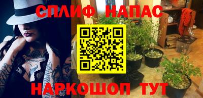 трава Бузулук
