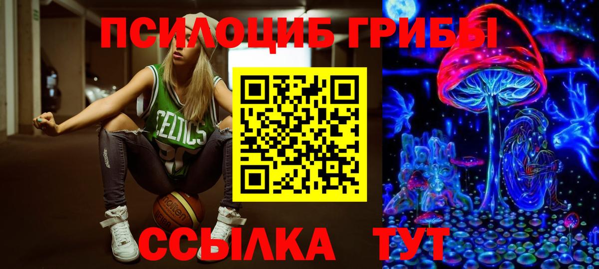 Псилоцибиновые грибы Psilocybe  Галлюциногенные грибы прущие грибы  Вход с VPN  Родники 